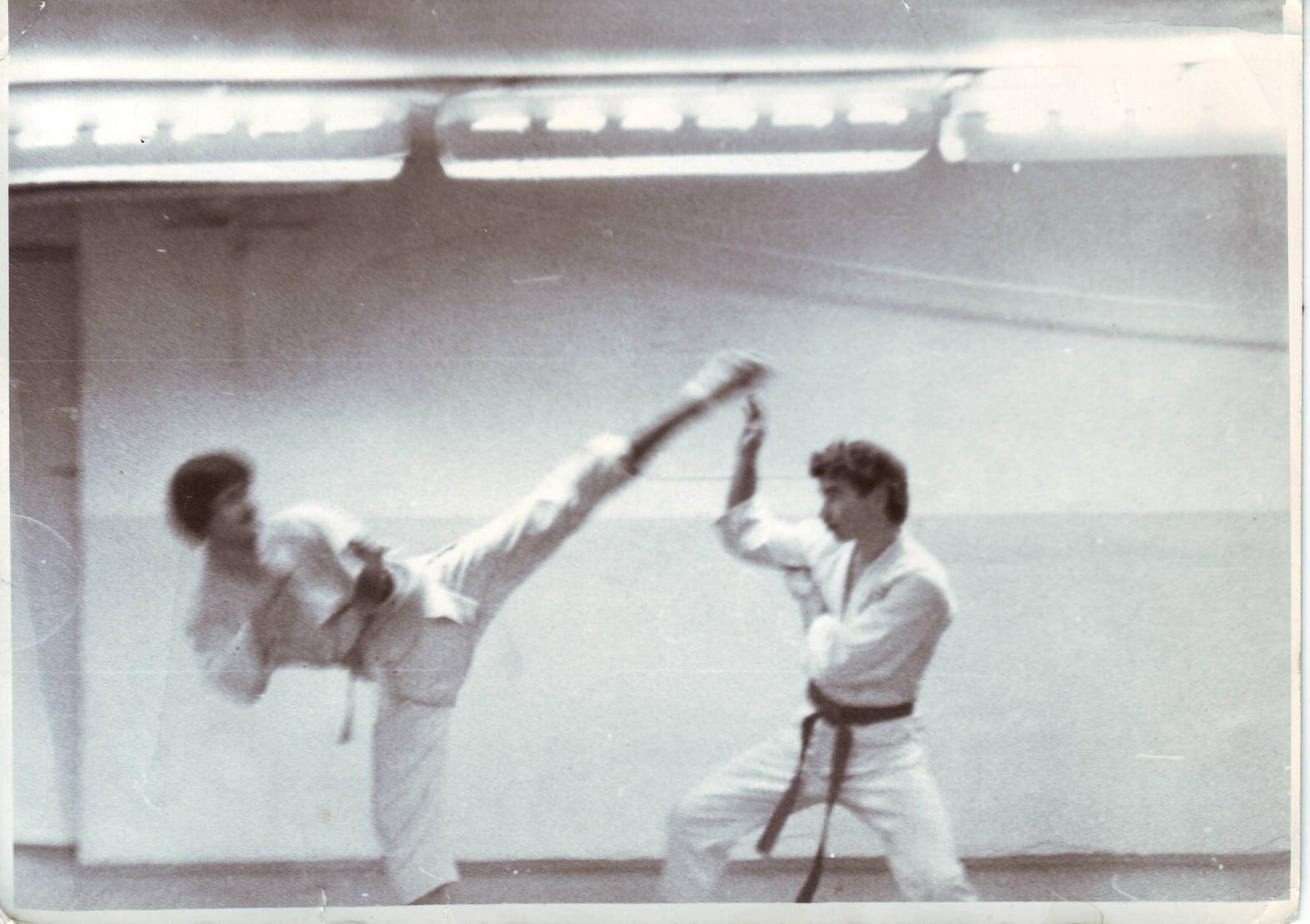  . ( -), 1982