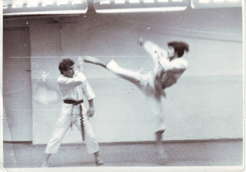  . ( - ), 1982